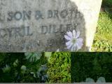 image of grave number 206528
